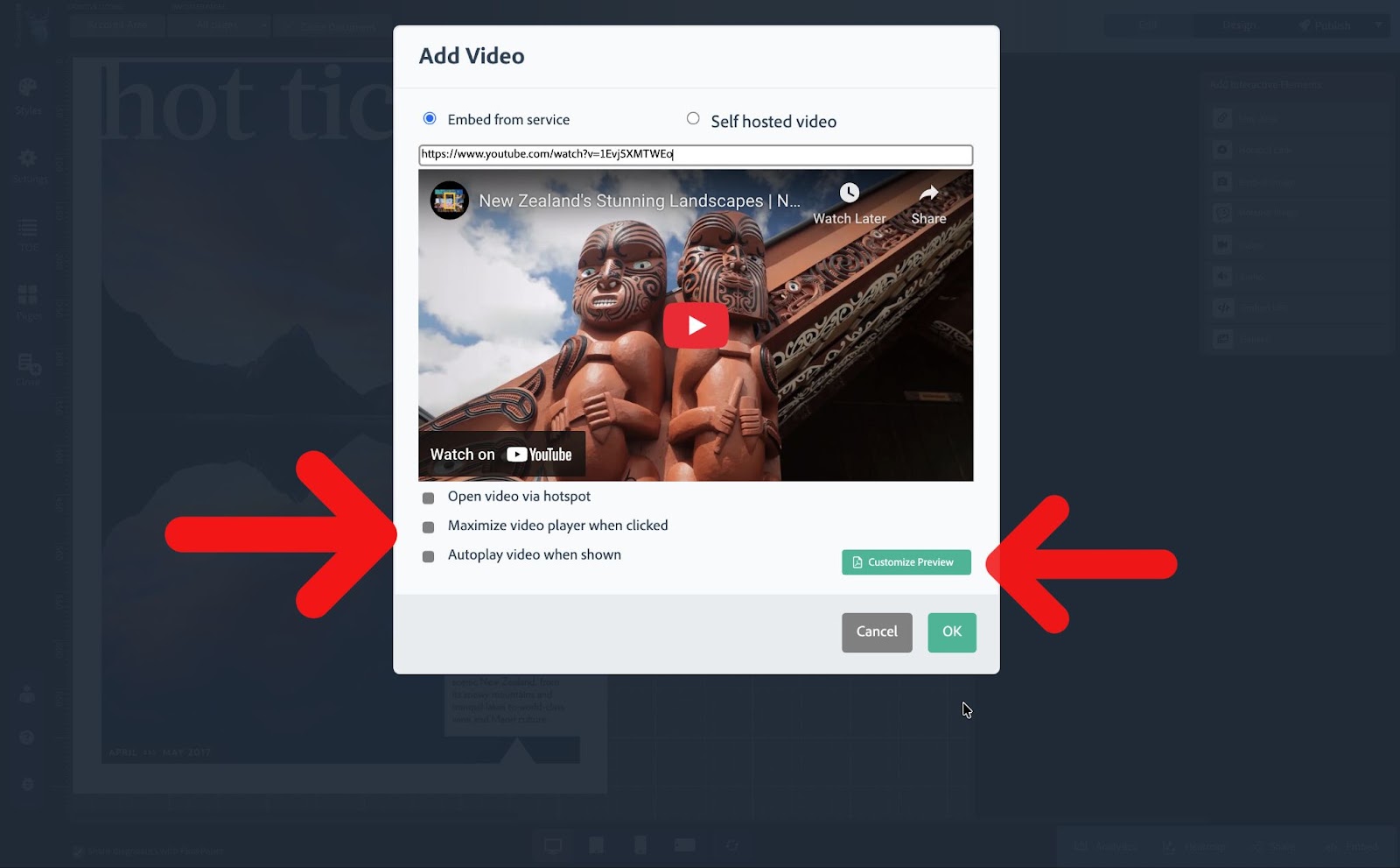 Video settings menu in FlowPaper